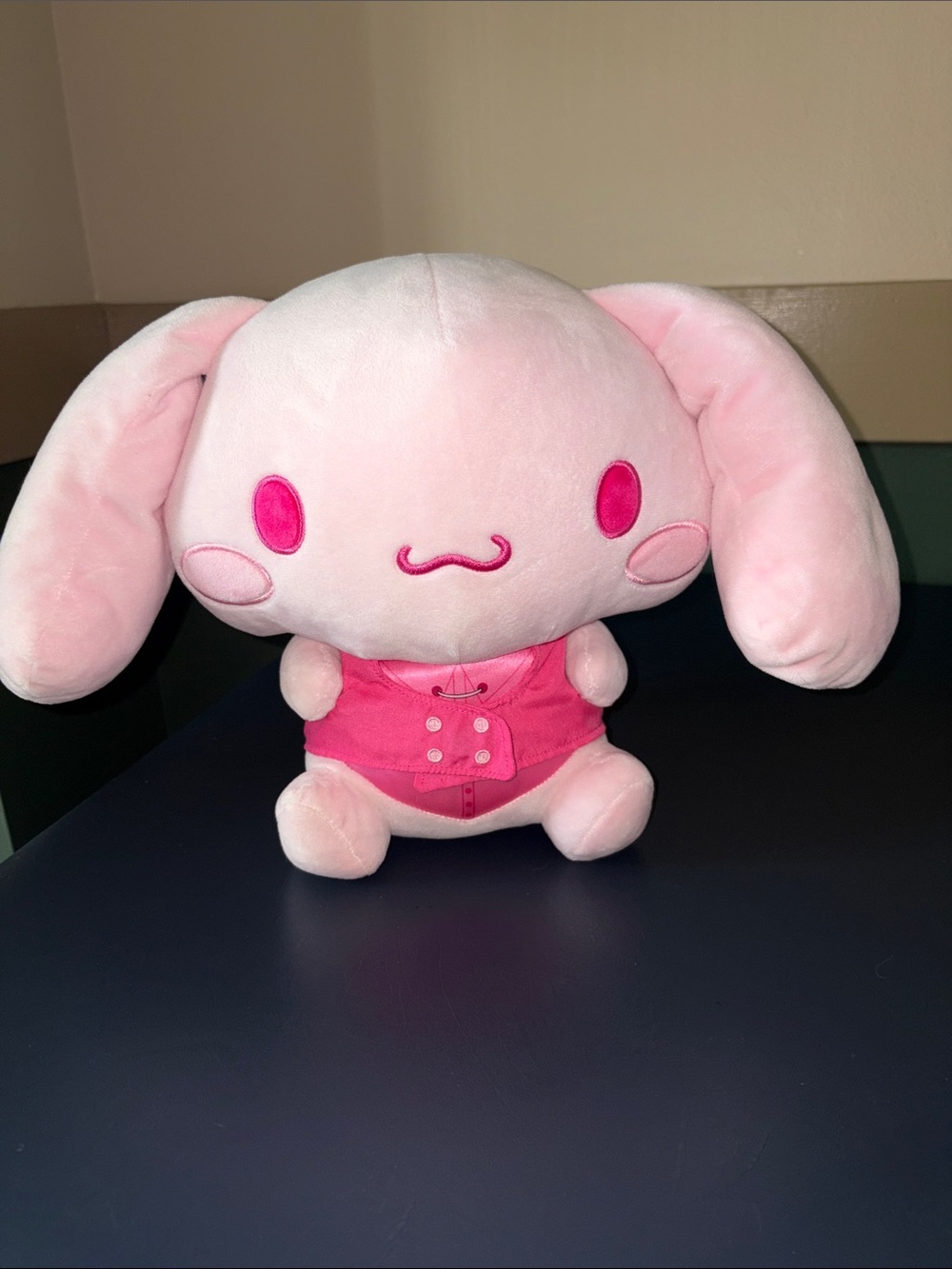 Hello Kitty and Friends - Cinnamoroll 12” Pink Monochrome Plush